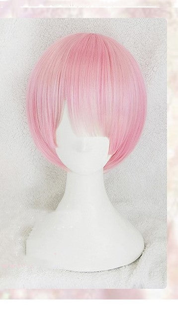 Life in another world from scratch Rem wig