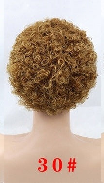 Explosive Head Female Short Curly Hair Temperament Microwave Whole Wig